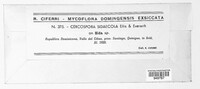 Cercospora sidaecola image